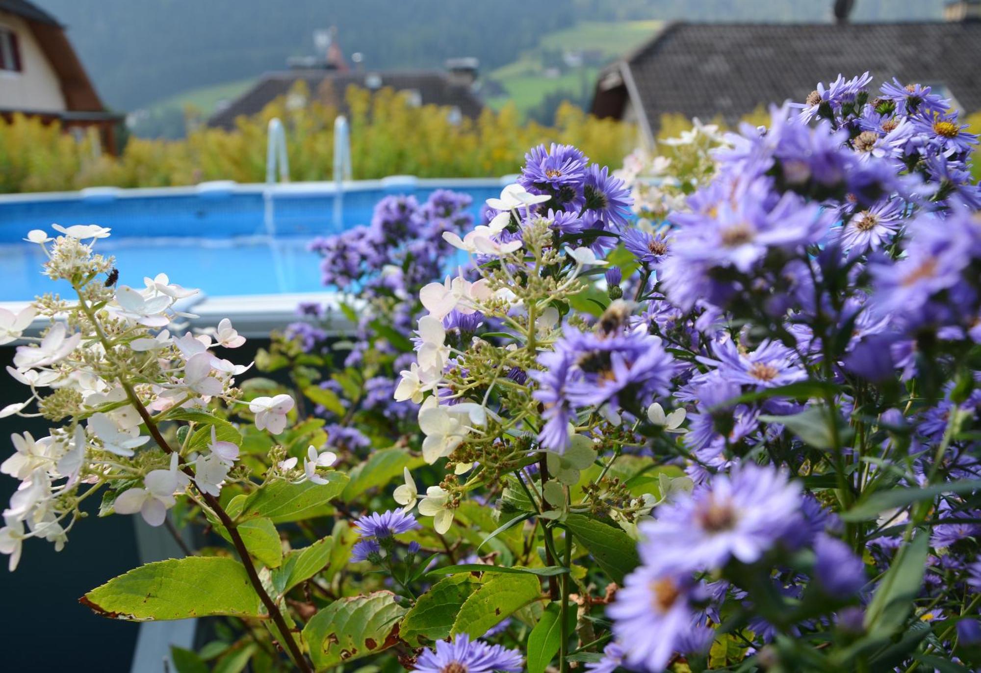 Appartchalet La Rondula Ortisei Exterior foto